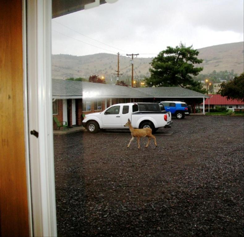 Golden West Motel 클라마스 팔스 외부 사진